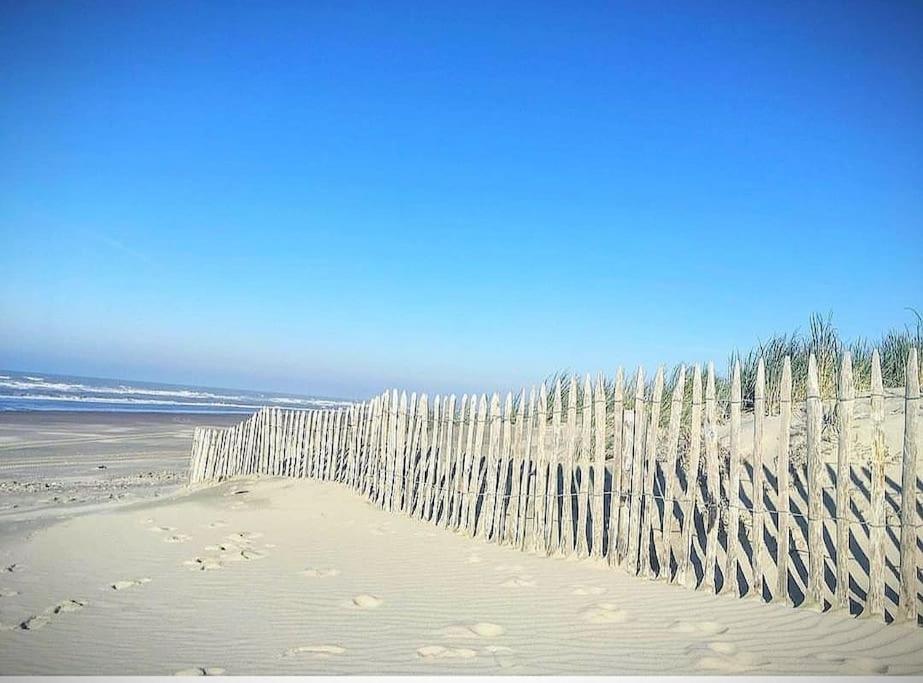 Superbe Apt Cosy A 500M De La Plage Pour 4 Pers Fort-Mahon-Plage Exteriér fotografie